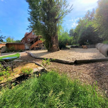 Pferdehof Am Burgsberg, Ferienzimmer, Monteurzimmer Seifhennersdorf Luaran gambar